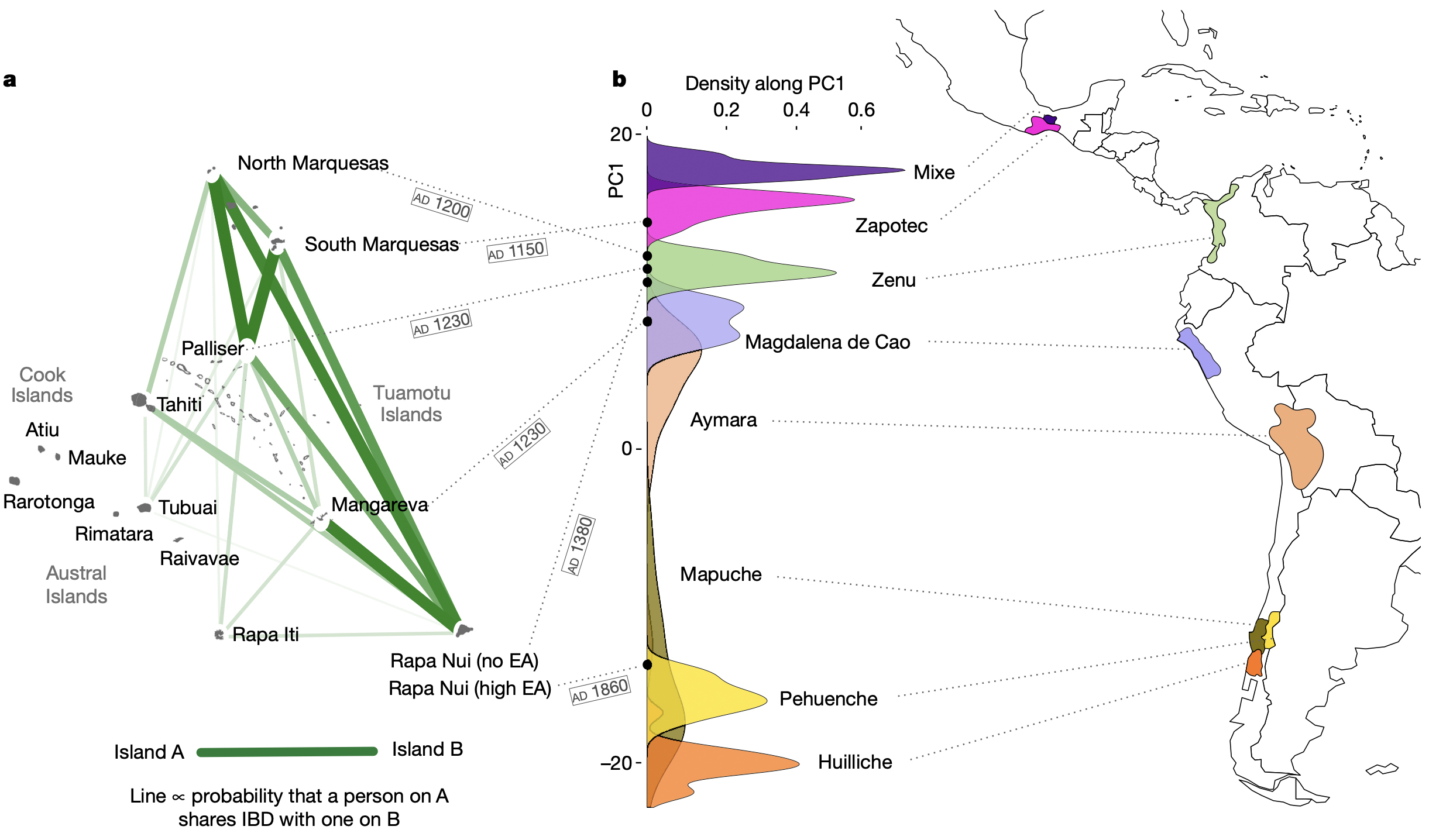 Native American gene flow into Polynesia predating Easter Island settlement