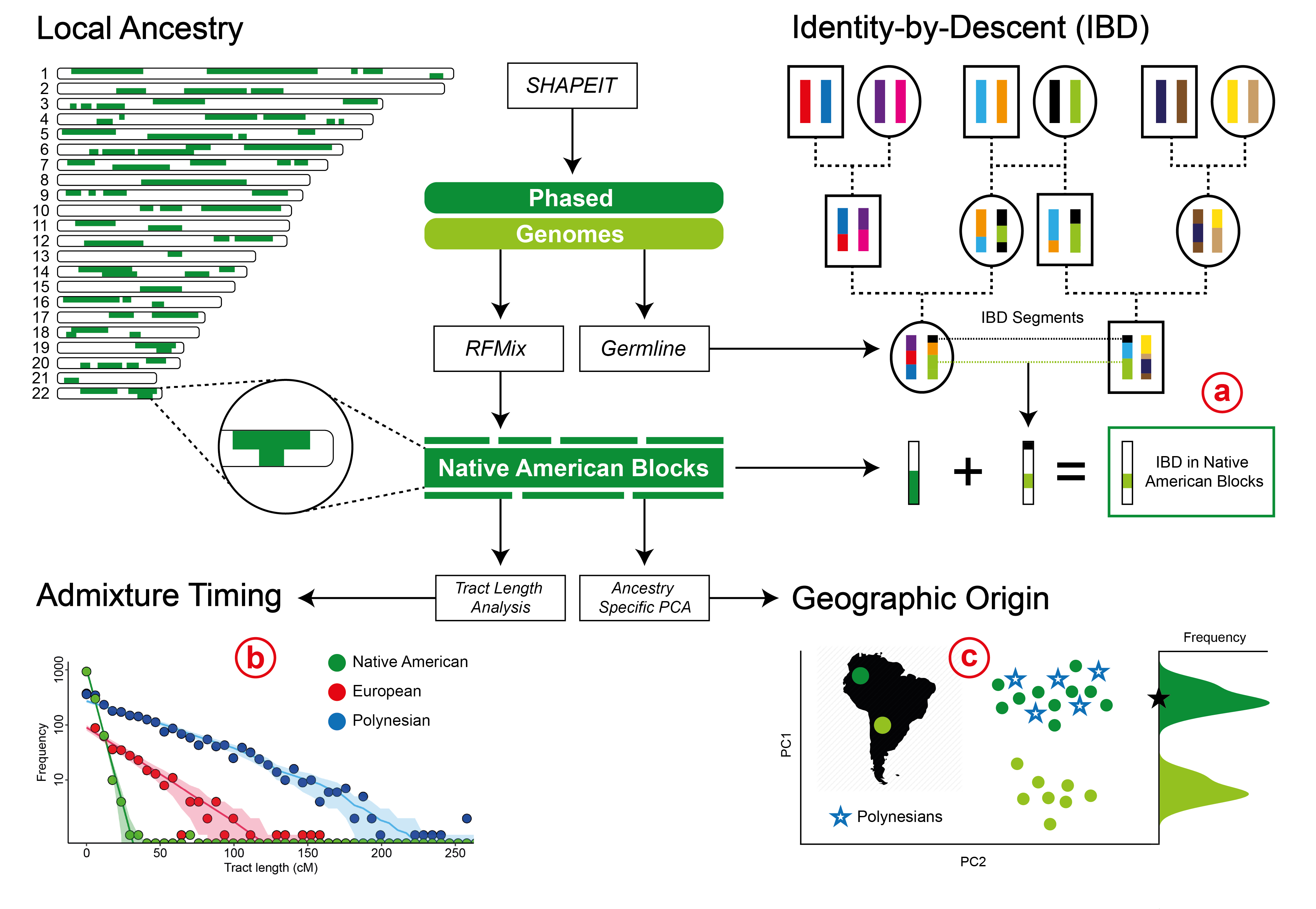 Local Ancestry Pipeline